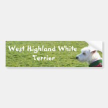 West Highland White Terrier bumper sticker