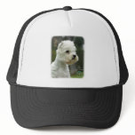 West Highland White Terrier hats