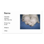 West Highland White Terrier Puppies Business Card