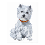 West Highland White Terrier Red Collar Postcard