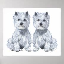 West Highland White Terrier Twins! Print