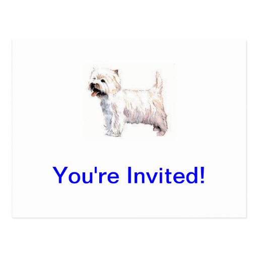 West Highland White Terrier Westie Postcards