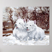 West Highland White Terriers in the Snow Poster
