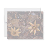 West Indian Mahogany Seedling invitations