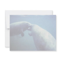 West Indian manatee Custom Announcement