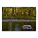 West River cards