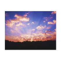 West Virginia Sunrise Postcard