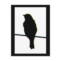 Western Bluebird silhouette Postcard
