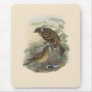 Western Bowerbird Mouse Pads