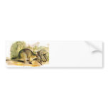 Western Brush wallaby bumper stickers