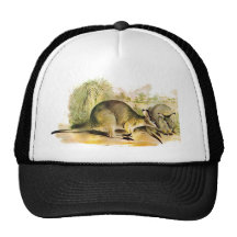 Western Brush wallaby Mesh Hat