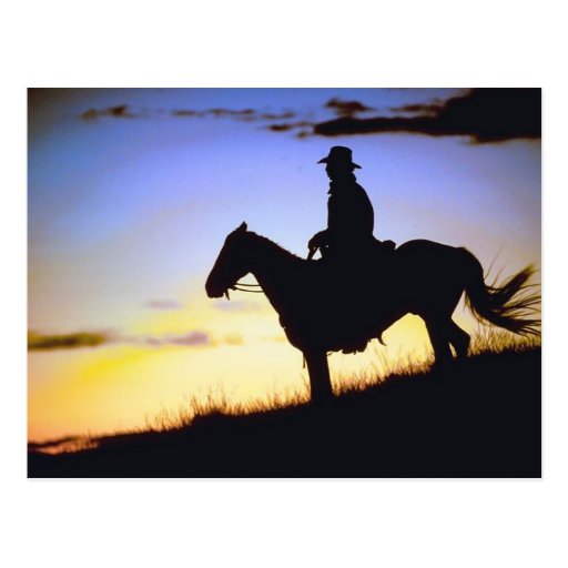 Western Cowboy Sunset Silhouette Post Cards