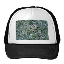 Western Diamondback Rattlesnake Trucker Hats