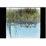 Western grebe photo sculptures