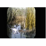Western Grebe photo sculptures