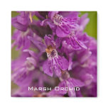 Western Marsh Orchid magnets