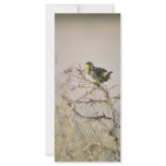 Western Meadowlark Customized Rack Card