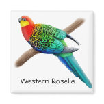 Western Rosella Parrot Magnet