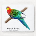 Western Rosella Parrot Mousepad