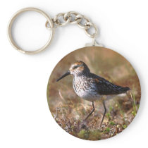 Western Sandpiper Keychains