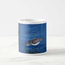 Western Sandpiper Mug