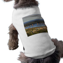 Western St. Louis Bay Doggie Tee