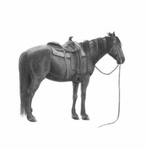 Western Stock horse ornament Photo Cut Out