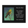 Western Tanager: Bird:  SAVE THE DATE Post Cards