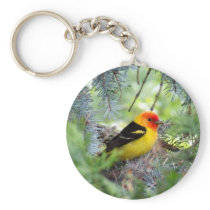 Western Tanager