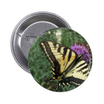 Western Tiger Swallowtail Butterfly Pin