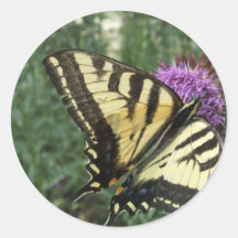 Western Tiger Swallowtail Butterfly Stickers