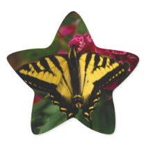 Western Yellow Swallowtail Star Sticker