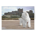 Westie at Bamburgh Castle Greeting Card