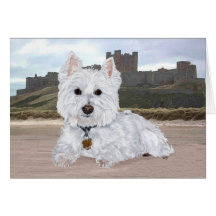 Westie at Bamburgh Castle Greeting Cards