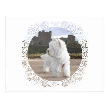 Westie at Bamburgh Castle Post Cards