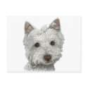 Westie dog postcards