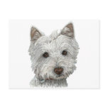 Westie dog postcards