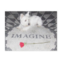 Westie Imagines World Peace Post Card