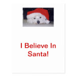 Westie in a Santa Hat Postcard