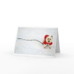 westie in red coat cards