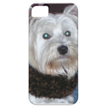 westie iPhone 5 covers