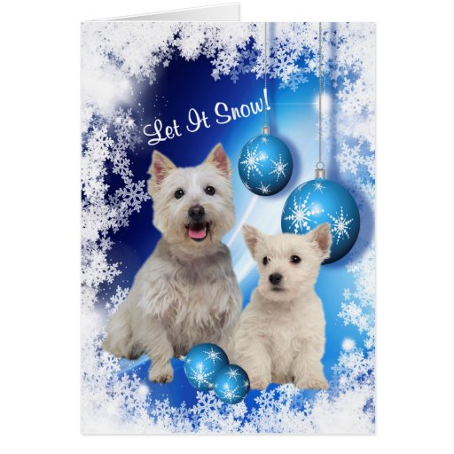 West Highland White Terrier Christmas Cards, Photo Card Templates