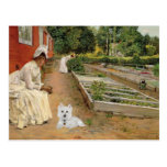 Westie Postcard