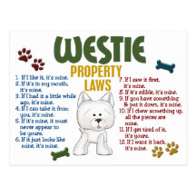 Westie Property Laws 4 Post Cards