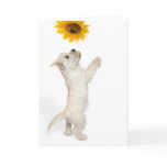Westie Pup And Sunflower cards
