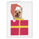 Westie Santa Hat Gift Box Greeting Cards