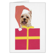 Westie Santa Hat Gift Box Greeting Cards