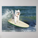Westie Surfer Poster posters