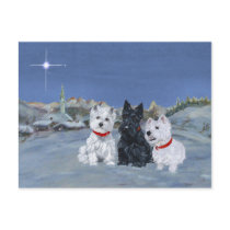 Westies and a Scottie Christmas Postcards