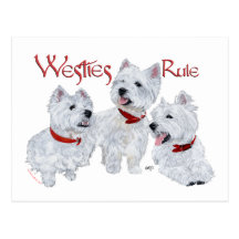 Westies Rule! Postcards